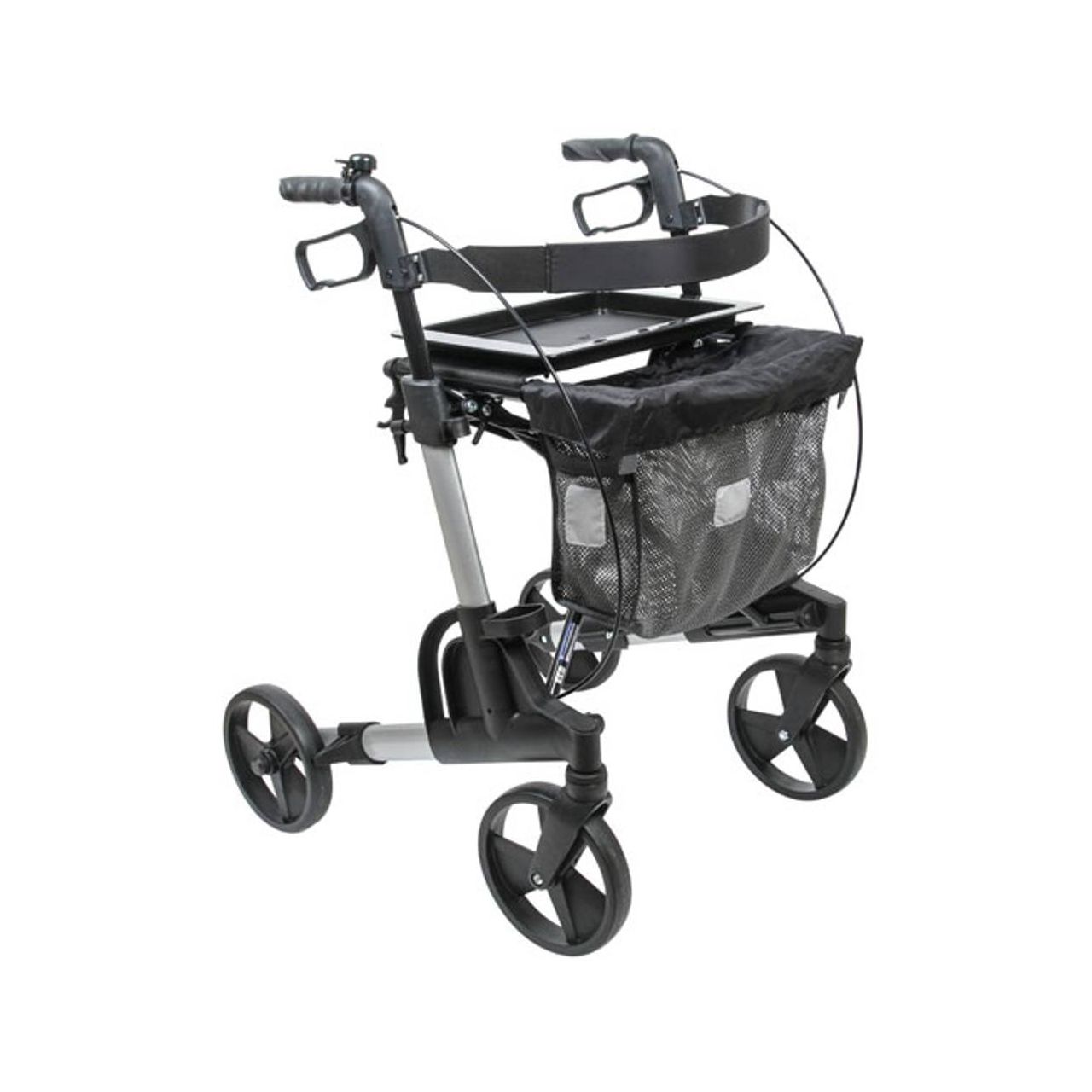 RV1a 1