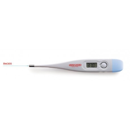 Termomeeter digitaalne RM300