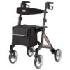 Rulaator ALEVO CARBON