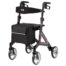 Rulaator ALEVO CARBON