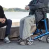 Rulaator istmega PANTHER, kokkukäiv raam