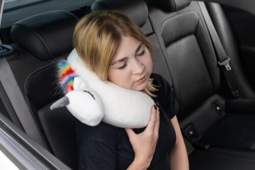Reisipadi UNICORN TIM
